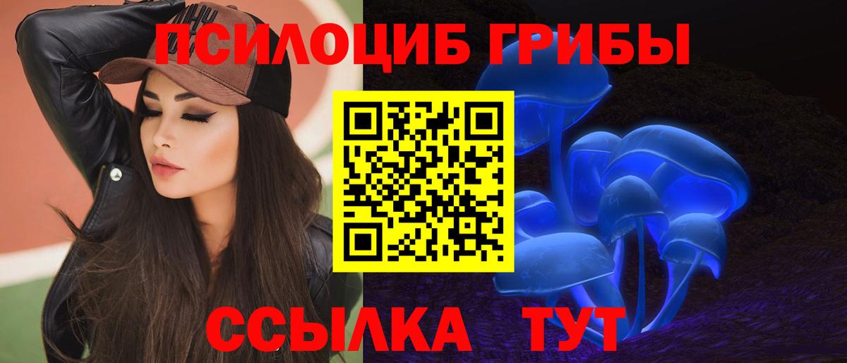 Галлюциногенные грибы Psilocybine cubensis  Вход с VPN  Южно-Сахалинск 